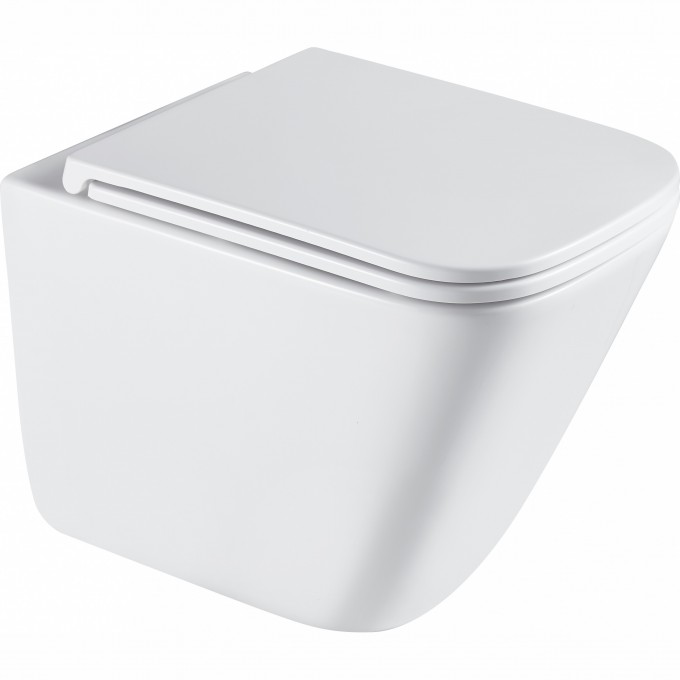 Подвесной унитаз безободковый TERMINUS ВАТИКАН MONOLIT 490х340 белый 03WM49x34W